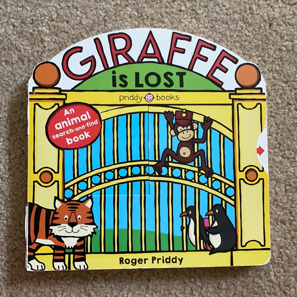 An animal search and find book